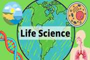 امکان ادامه تحصیل دانشجویان بین المللی پس از گذراندن دو و نیم سال از دوره  Life Science  و قبولی در آزمون علوم پایه پزشکی و داشتن شرایط پذیرش در یکی از سه رشته مقطع پزشکی، دندانپزشکی یا داروسازی